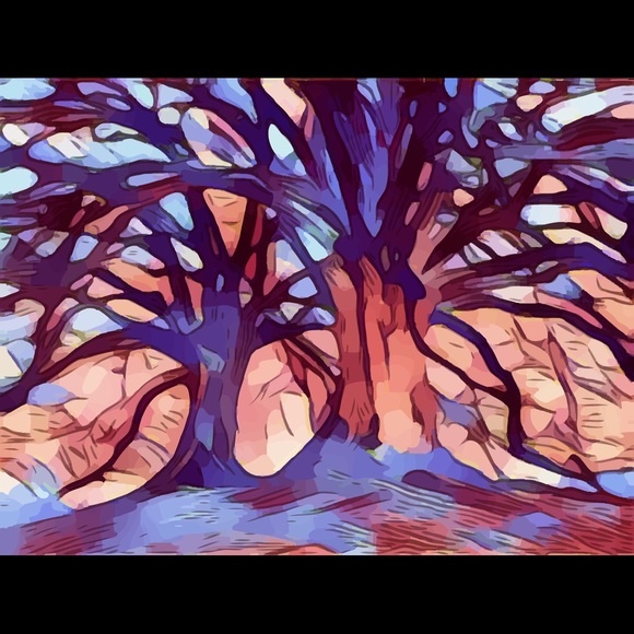 1 DAY SALE ONLY‼️SOME MAJOR MARKDOWNS  🌠 - Picture 2 of 5